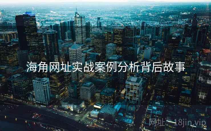 海角网址实战案例分析背后故事