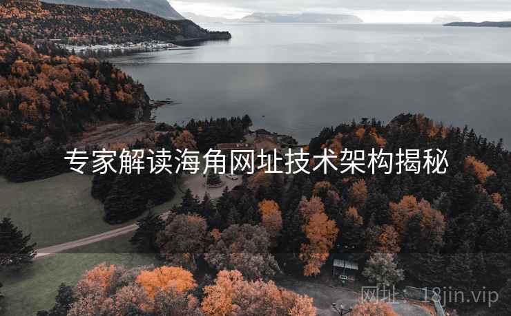 专家解读海角网址技术架构揭秘