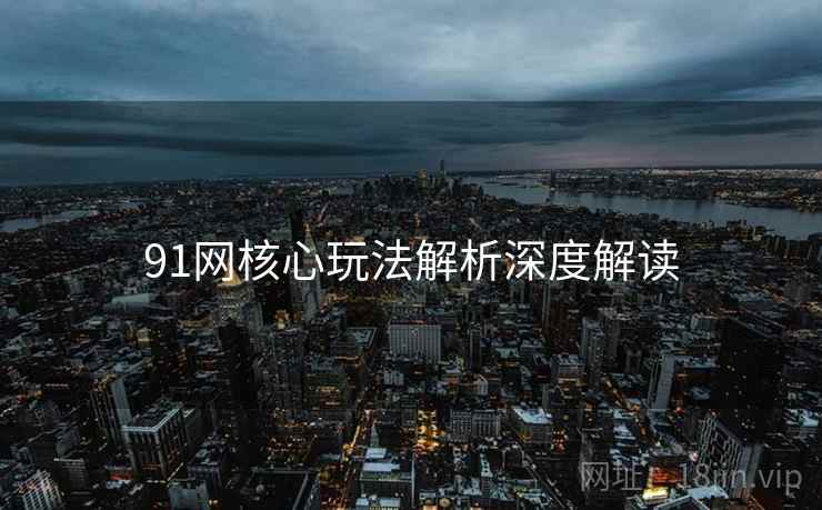 91网核心玩法解析深度解读