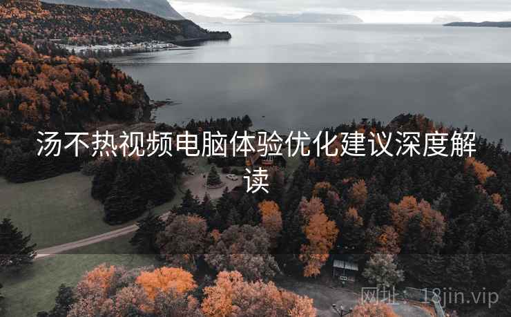 汤不热视频电脑体验优化建议深度解读