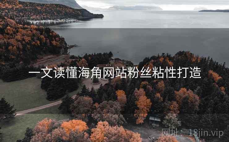 一文读懂海角网站粉丝粘性打造